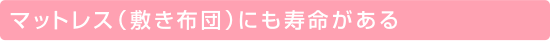 �}�b�g���X�i�~���z�c�j�ɂ�����������